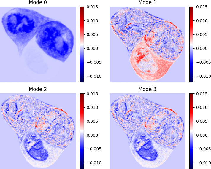 DMD Modes of Real FLIP Data